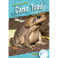 Cane Toad - Library Binding