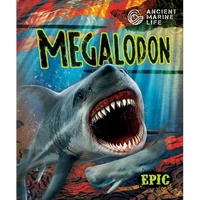 Megalodon - Library Binding