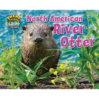 North American River Otter - Paperback