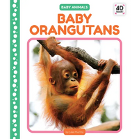 Baby Orangutans - Library Binding