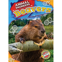 Beavers - Library Binding