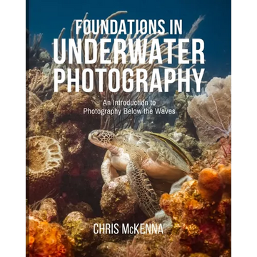 Foundations in Underwater Photography: An Introduction to Photography Below the Waves - Paperback