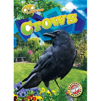 Crows - Library Binding