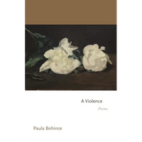 A Violence: Poems - Paperback