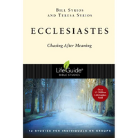 Ecclesiastes: Chasing After Meaning - Paperback