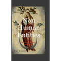 Non Human Entities: An Artificial Intelligence Perspective