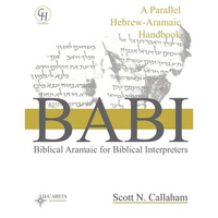 Biblical Aramaic for Biblical Interpreters: A Parallel Hebrew-Aramaic Handbook - Paperback