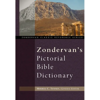 Zondervan's Pictorial Bible Dictionary - Hardcover