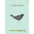 Urban Fledgling