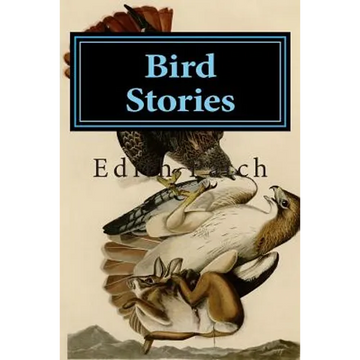 Bird Stories - Paperback