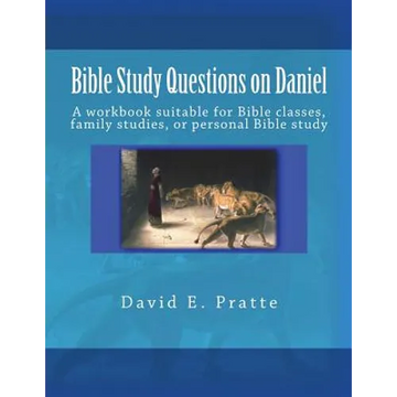 Bible Study Questions on Daniel: A workbook suitable for Bible classes, family studies, or personal Bible study - Paperback