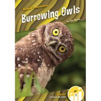 Burrowing Owls - Library Binding