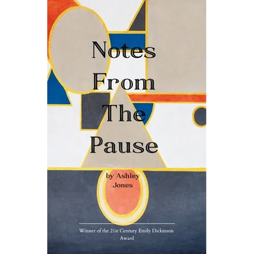 Notes From the Pause - Paperback