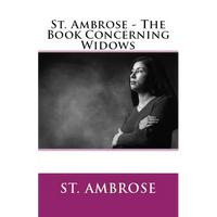The Book Concerning Widows - Paperback