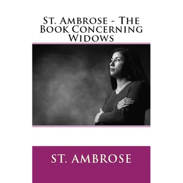 The Book Concerning Widows - Paperback