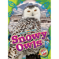 Snowy Owls - Library Binding