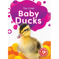 Baby Ducks - Library Binding