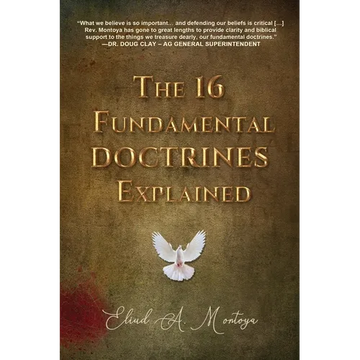 The 16 Fundamental Doctrines Explained - Paperback
