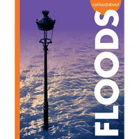 Curious about Floods - Paperback