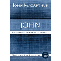John: Jesus - The Word, the Messiah, the Son of God - Paperback