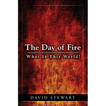 The Day of Fire: What Is This World? - Paperback