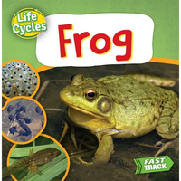 Frog - Paperback
