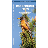 Connecticut Birds: A Folding Pocket Guide to Familiar Species