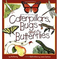 Caterpillars, Bugs and Butterflies - Paperback