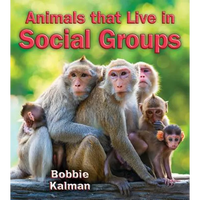 Animals That Live in Social Groups - Paperback