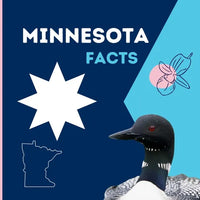 Minnesota Facts: Interesting Facts About Minnesota - Paperback