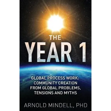 The Year 1: Global Process Work: Community Creation from Global Problems, Tensions and Myths - Paperback