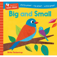 Barefoot Baby-Proof: Big and Small - Paperback