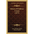 History Of Sullivan County (1873)