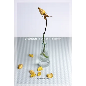 Broken: But Not In Despair - Paperback