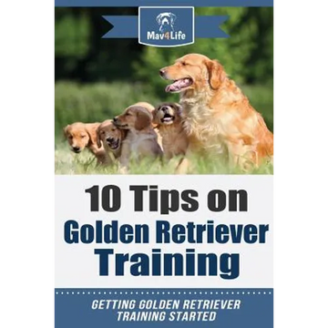 10 Tips on Golden Retriever Training: Getting Golden Retriever Training Started! - Paperback