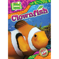 Clownfish - Library Binding