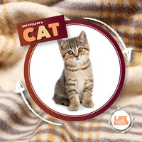 Life Cycle of a Cat - Library Binding