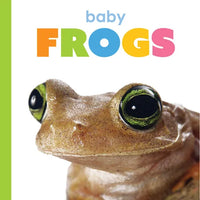 Baby Frogs - Paperback