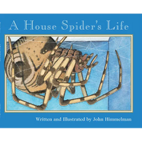 A House Spider's Life (Nature Upclose) - Paperback