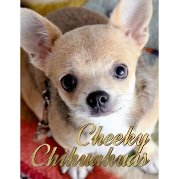 Cheeky Chihuahuas - Paperback