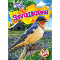 Swallows - Library Binding