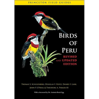 Birds of Peru - Paperback
