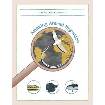 Amazing Animal Migrations - Paperback