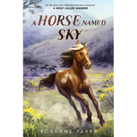 A Horse Named Sky - Paperback
