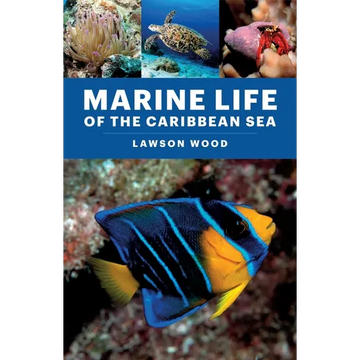 Marine Life of the Caribbean Sea - Paperback