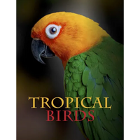 Tropical Birds - Hardcover