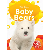 Baby Bears - Paperback