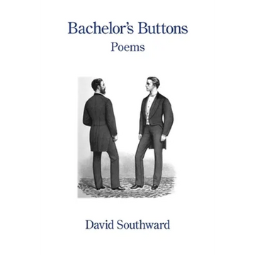 Bachelor's Buttons - Paperback
