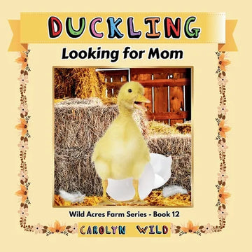 Duckling: Looking For Mom - Paperback