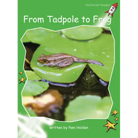 From Tadpole to Frog - Paperback